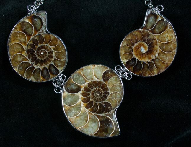 Triple Ammonite Necklace - Million Years Old #7904